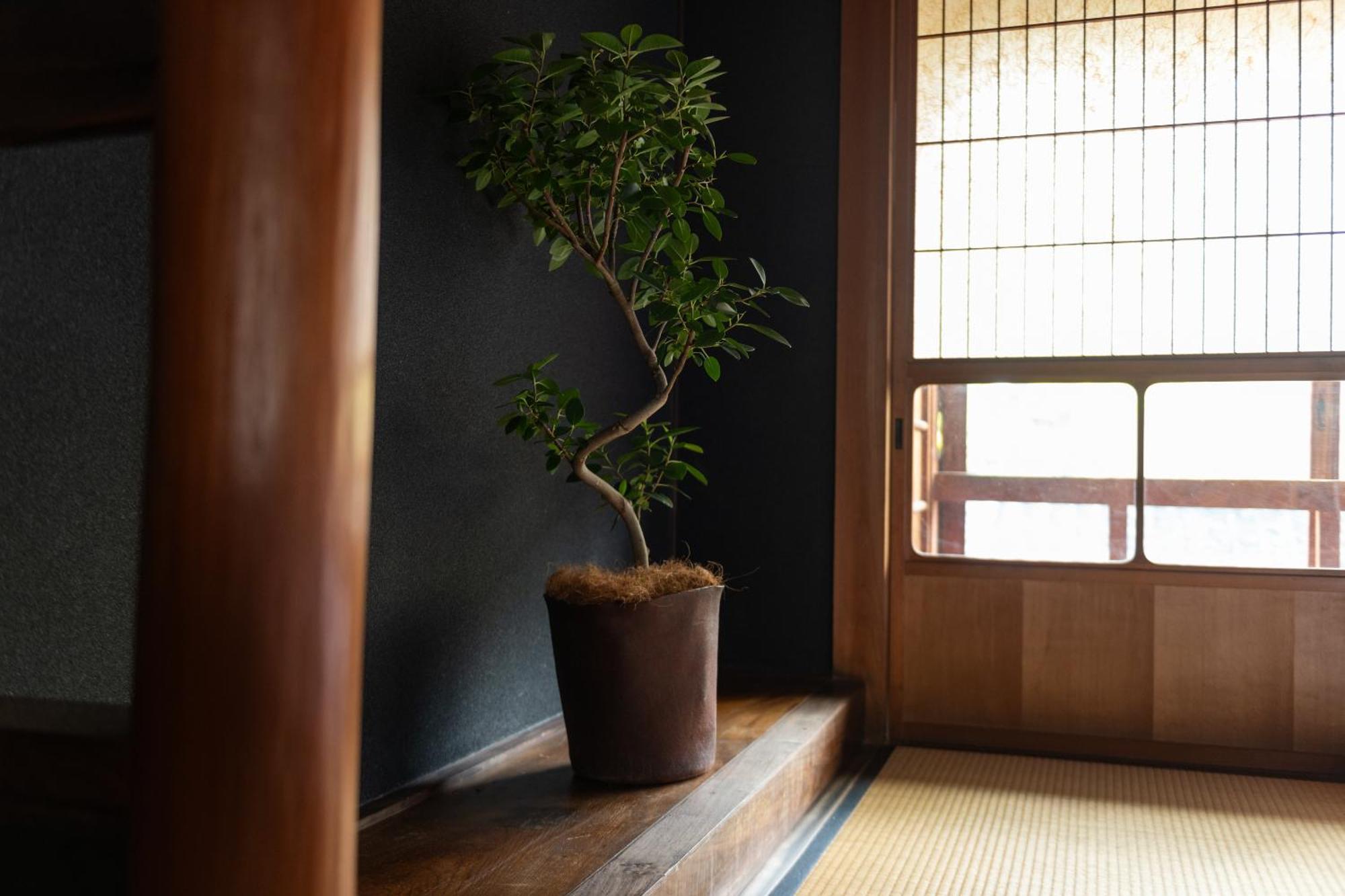 篠山城下町ゲストハウス Quolo Tamba-Sasayama 외부 사진
